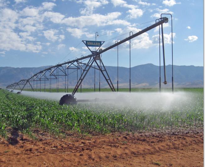 Repair irrigation